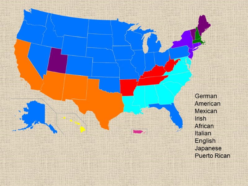 German American Mexican Irish African Italian English Japanese Puerto Rican